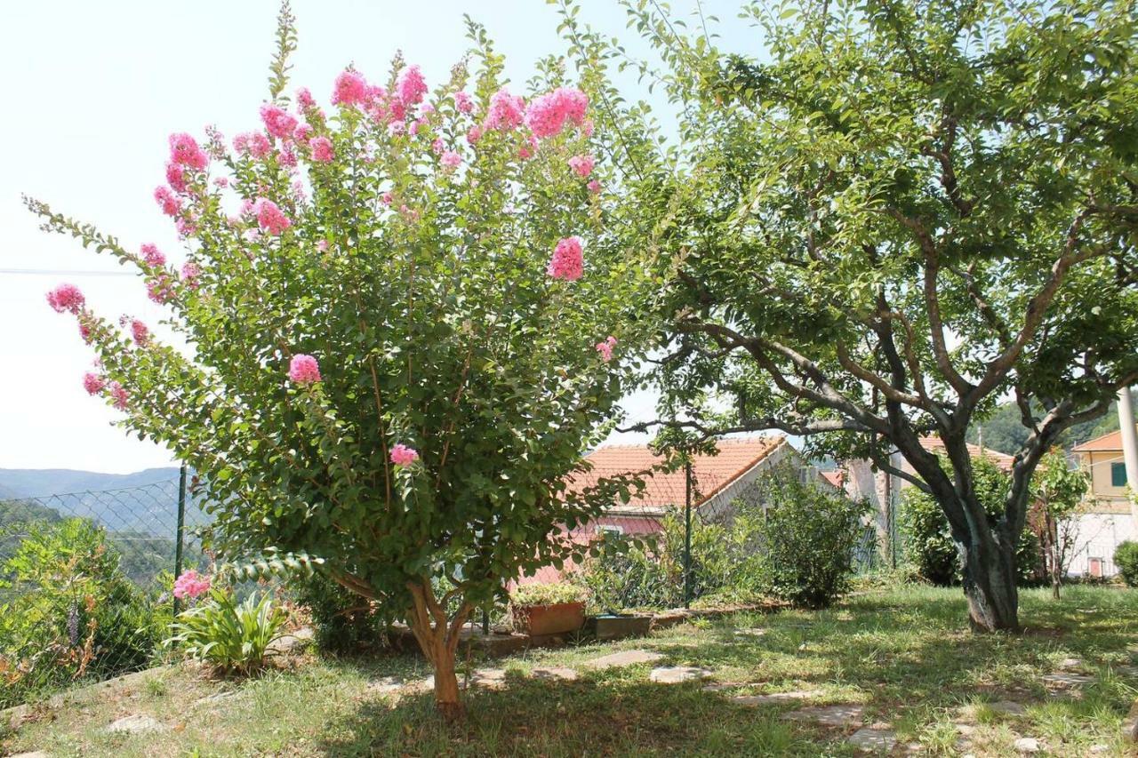 La Casetta Di Graziella Vezzi Portio Exterior photo